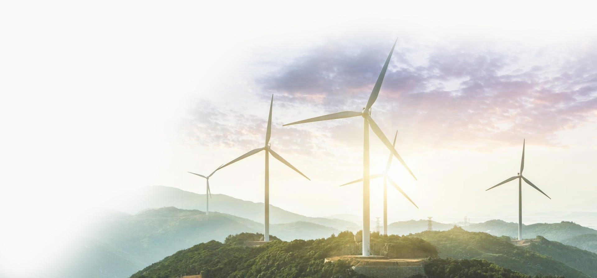 ENERJİ SEKTÖRÜNDE GİRİŞİMCİ YATIRIMLAR!